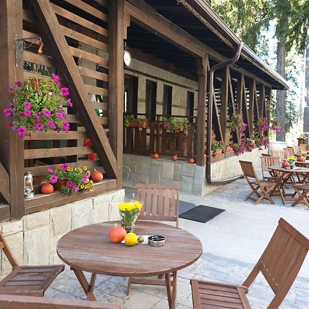 Green Life Family Apartments פמפורובו מראה חיצוני תמונה